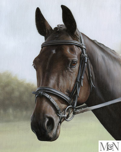 Horse portrait with Tack