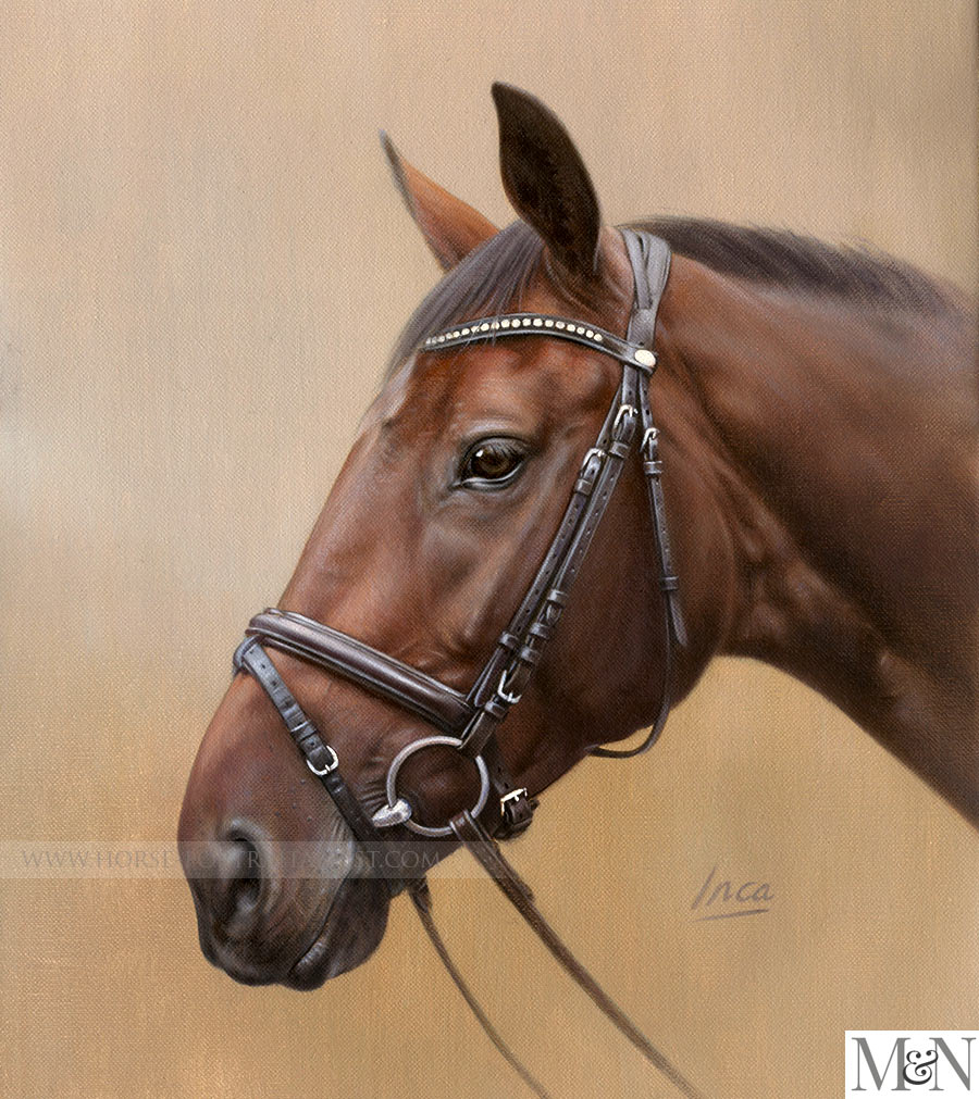 Oil Horse Portraits