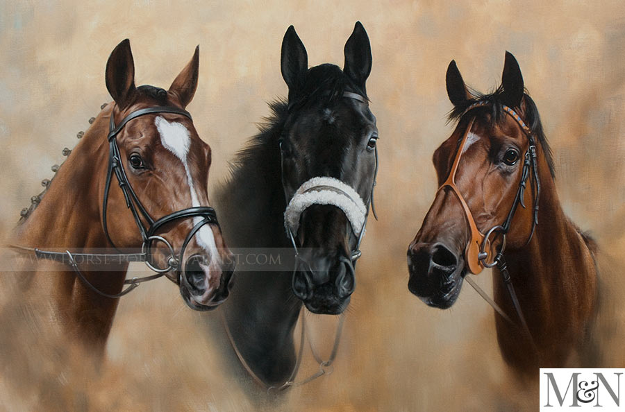 Race Horse Portraits by Nicholas Beall