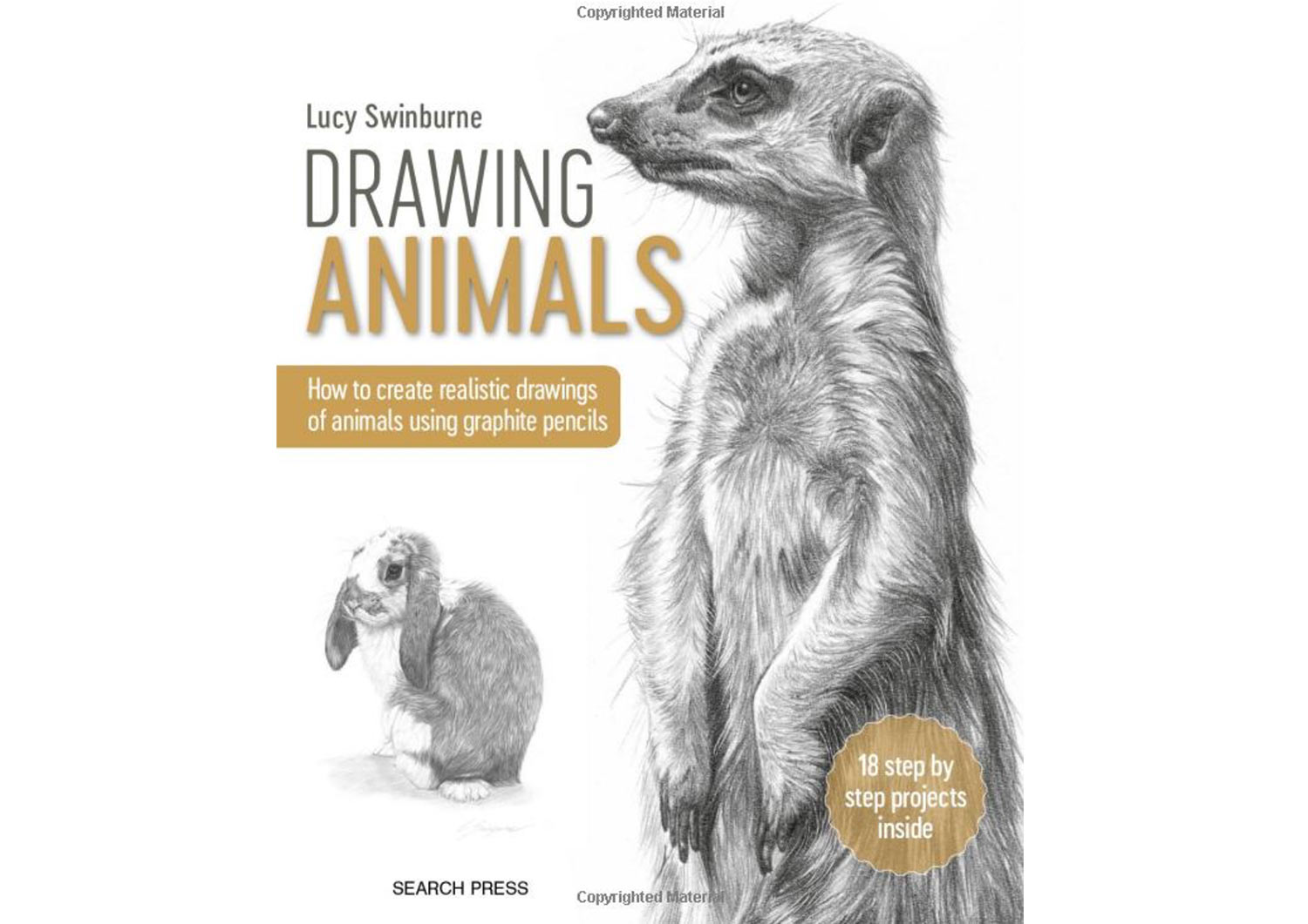 Pet Portraits Book