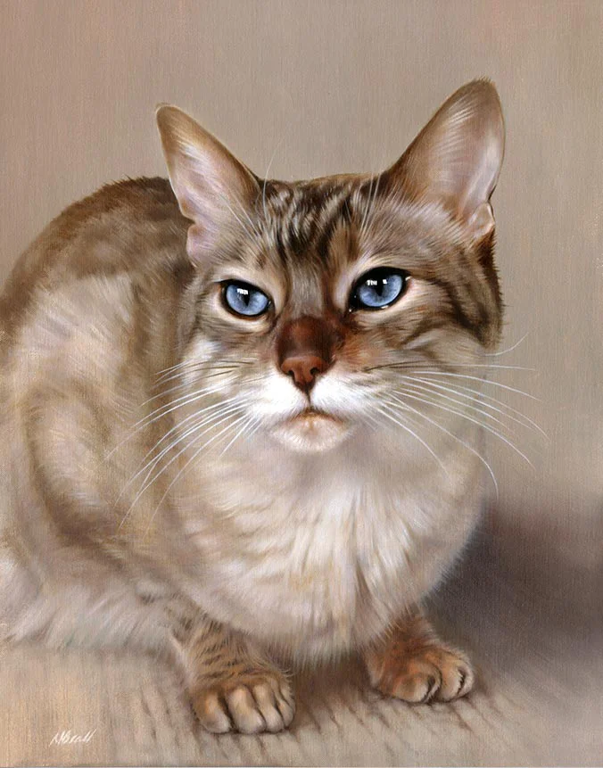Tia the cat, a stunning oil portrait on canvas by Nicholas Beall, with intricate details.