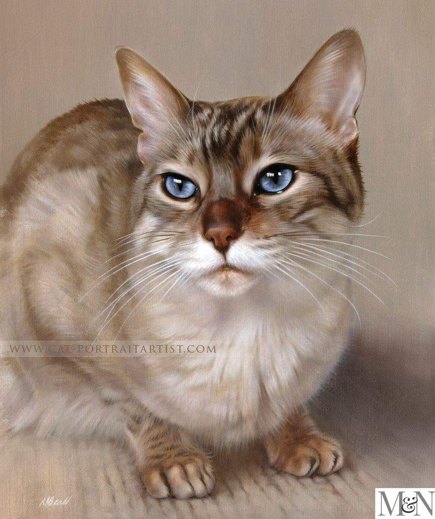 Cat Oils Portraits by Nicholas Beall