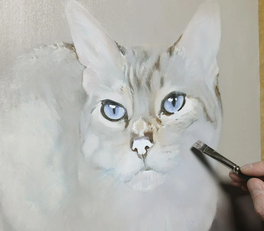 Framed oil painting of Tia the cat, showcasing her calm expression.