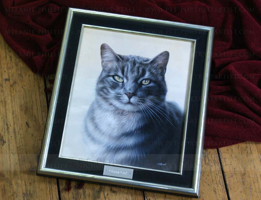 Cat Oils Portraits framed