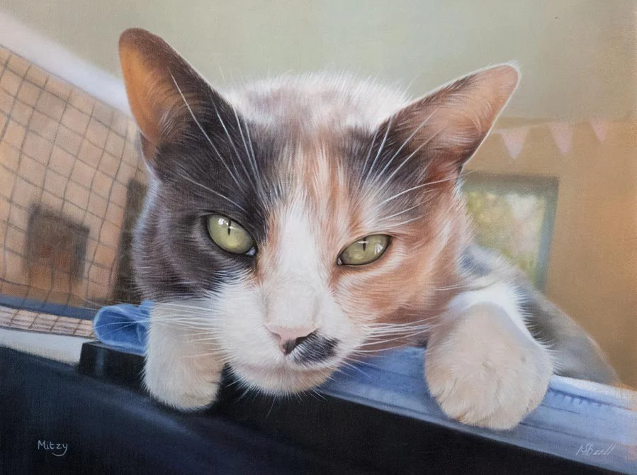Hand-painted cat portrait of Mitzy in oils by Nicholas Beall, with expressive eyes.