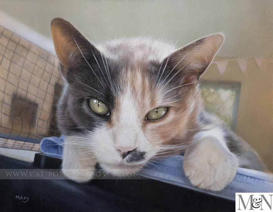 Cat Paintings by Nicholas Beall