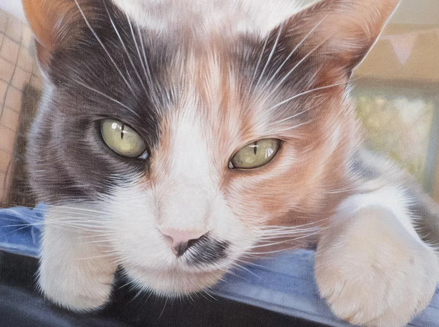 Mitzy's cat oil portrait beautifully displayed in a home setting, complementing the decor.