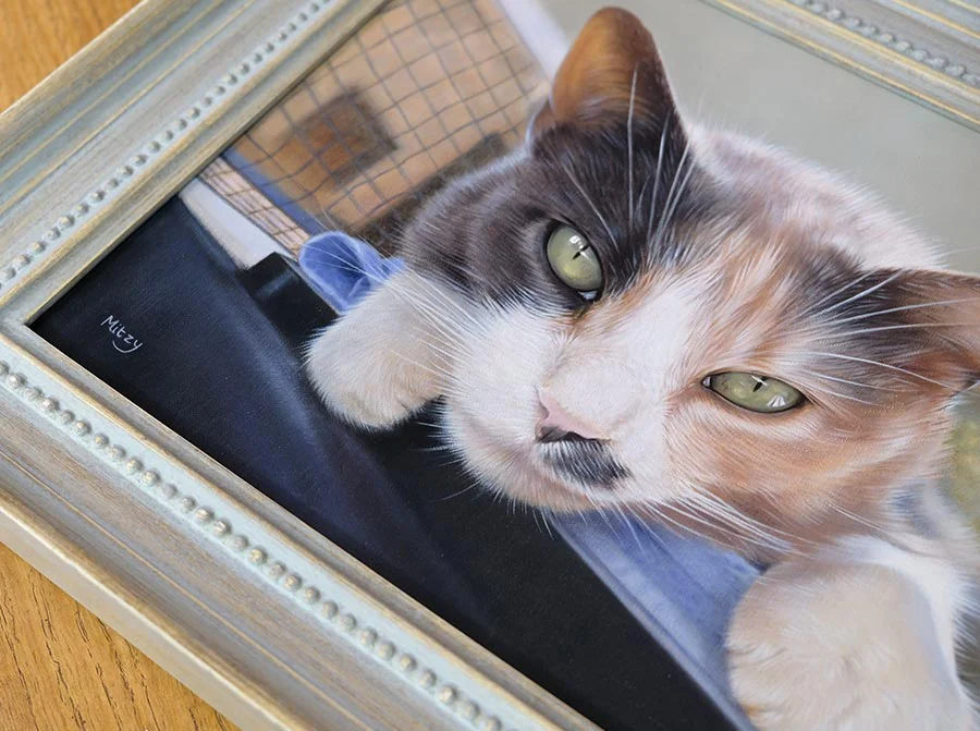 Mitzy's framed cat oil painting displayed in the client's home, showing its integration into the living space.