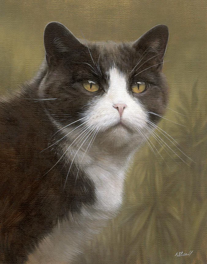 Oil portrait of Purdy, a hand-painted cat artwork by Nicholas Beall, showing her delicate features.