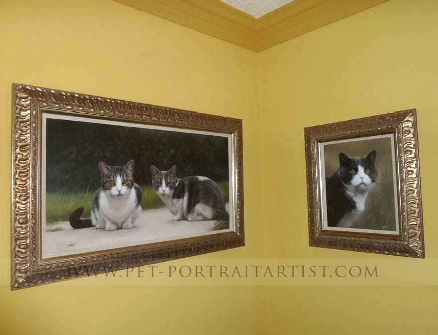 The cat portraits in Situ