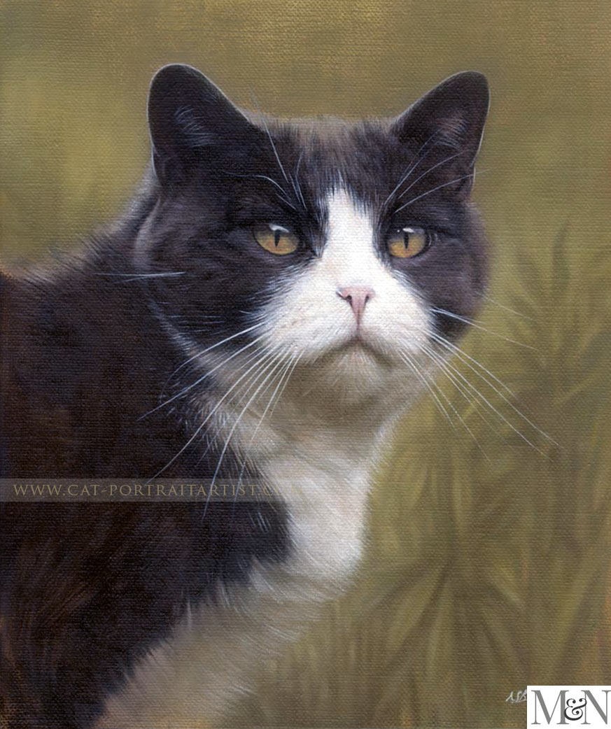 Cat Pet Portraits in Oils by Nicholas Beall 