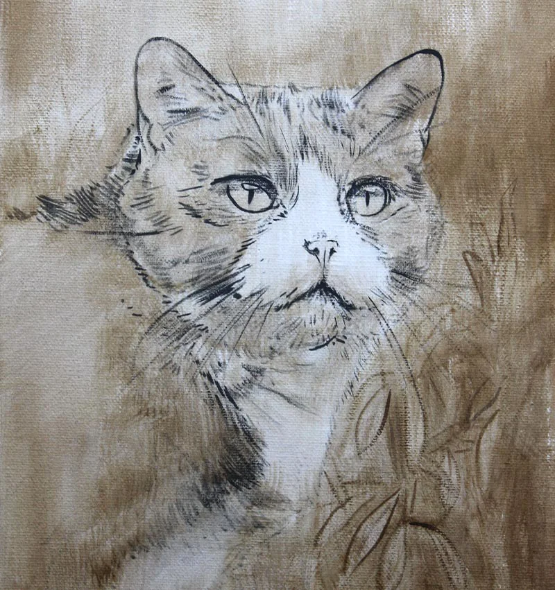 Purdy's cat portrait in oils, showing the initial work-in-progress stage on canvas.