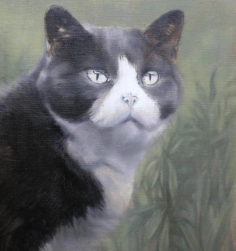 Purdy's cat oil portrait, showing the painting in progress with details emerging.