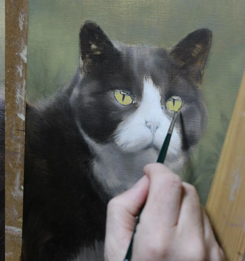 Purdy's cat portrait in oils, showing the midway painting stage with more refined features.
