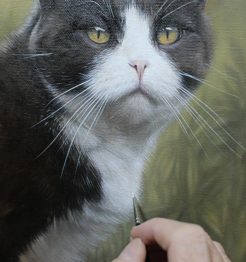 Purdy's cat oil painting, showing close-up detail in progress, focusing on texture and blending.