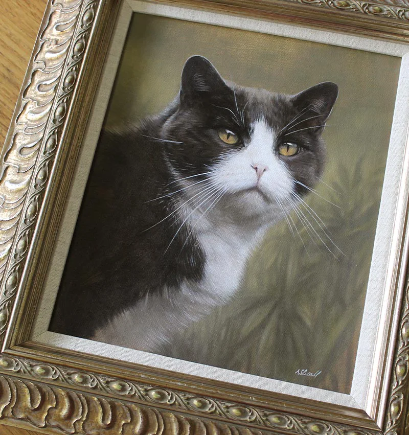 Purdy's framed cat portrait in oils, showing the full artwork in its elegant frame.