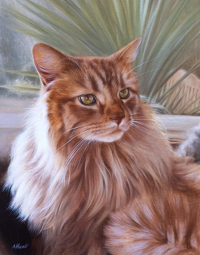 Roly the cat captured in oils by pet portrait artist Nicholas Beall, with a lifelike gaze.