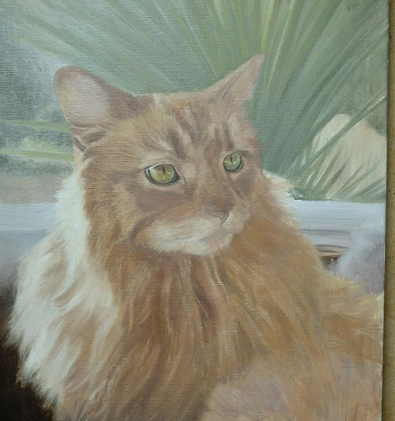 Roly's cat oil portrait in initial progress, showing the first layers and outline.