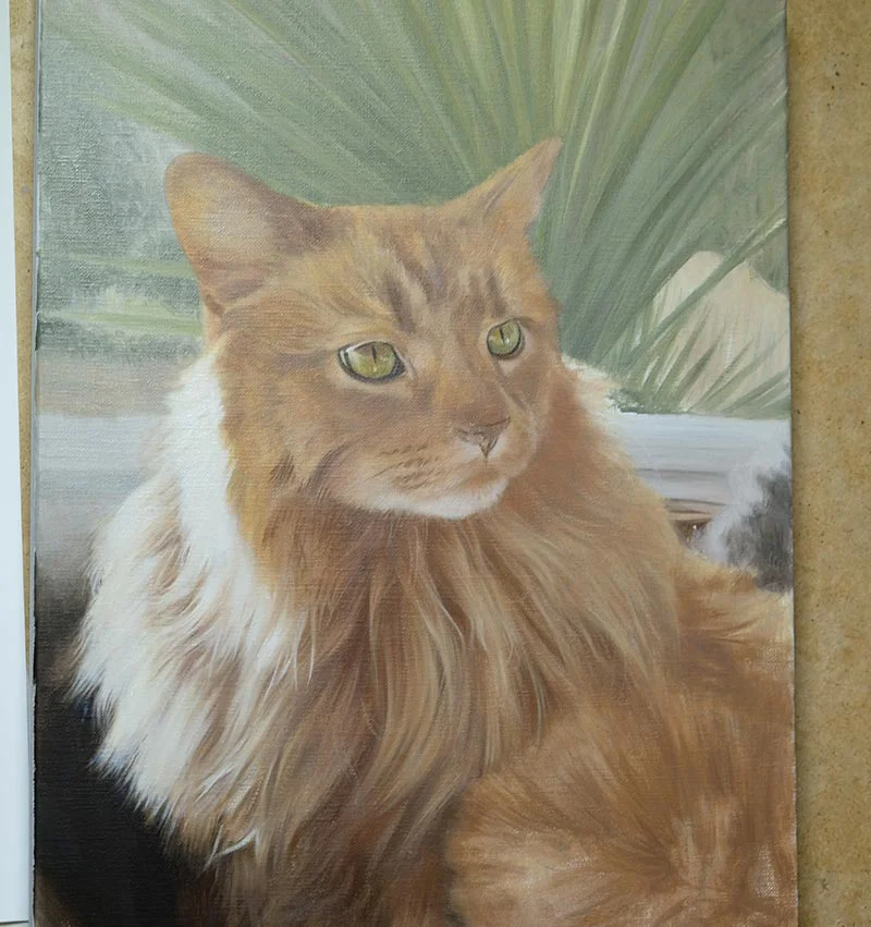 Close-up detail of Roly's cat oil portrait in progress, focusing on the eyes and fur.