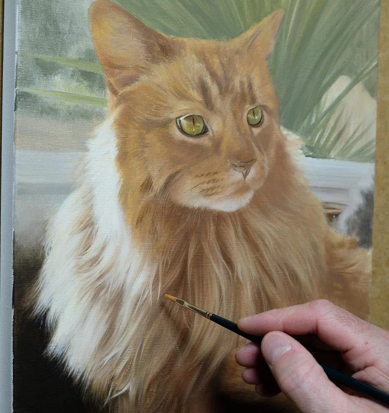 Roly's cat oil painting in progress, showing the midway stage of development.