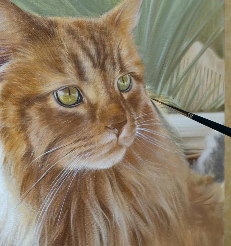 Roly's cat portrait in oils, showing the ongoing work-in-progress on canvas.
