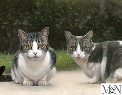Cat oil pet portraits in oils on linen canvas