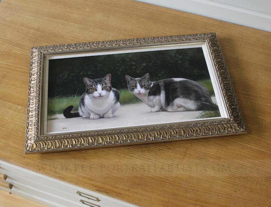 cat portraits in oils framed