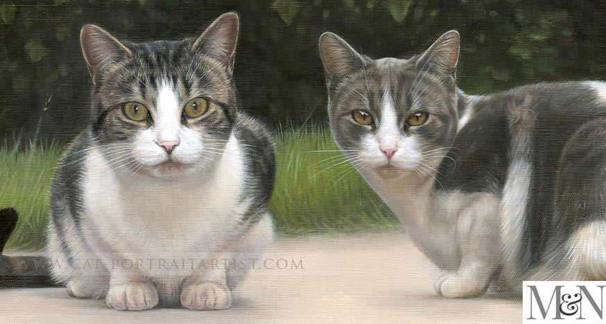 cat portrait in oil of Milly and Molly
