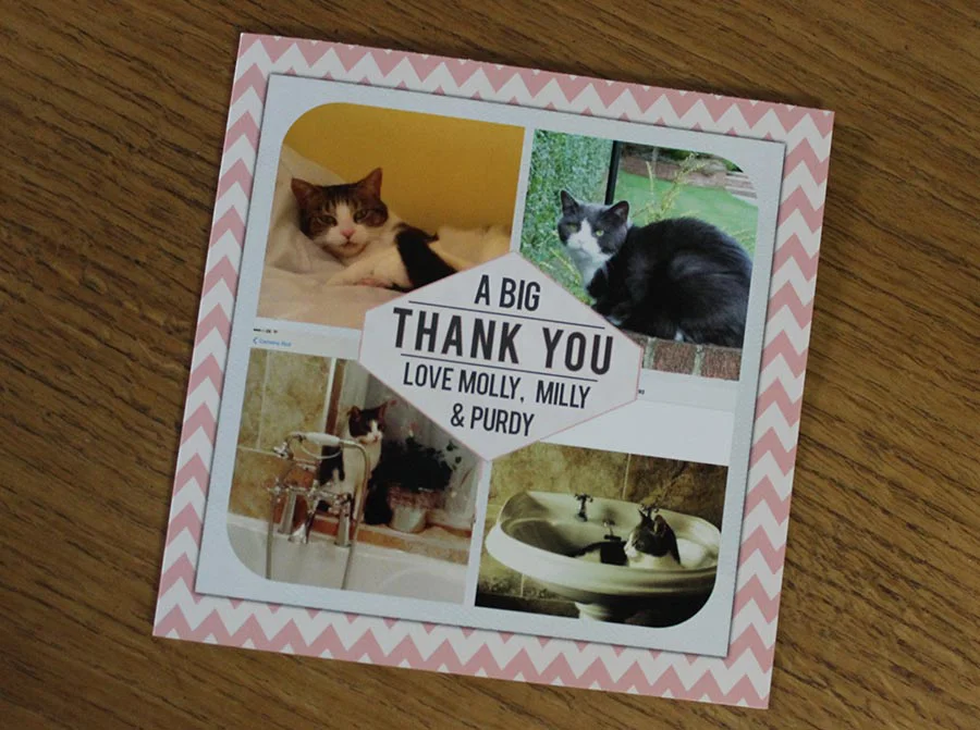 Thank you card received from the client for the Milly and Molly cat portrait.