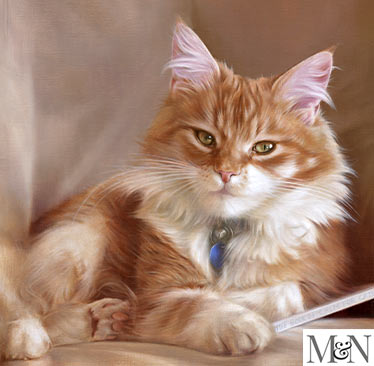 Cat portrait by Nicholas Beall