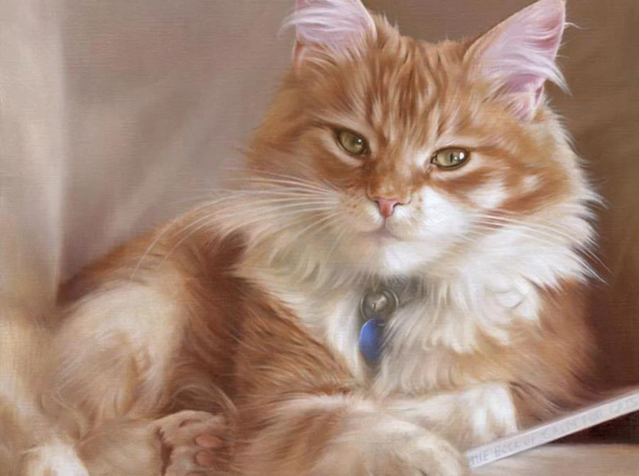 Realistic oil painting of Dudley the cat by Nicholas Beall, with a detailed fur texture.