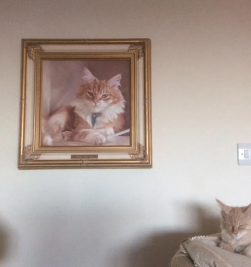 Dudley's cat portrait displayed prominently in the client’s home.