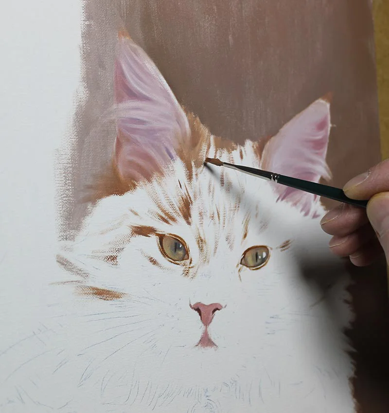 Dudley's cat oil portrait in its early stage of creation, showing the initial sketch.