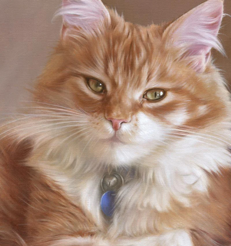Close-up detail of Dudley's finished cat oil portrait, showing fur texture.