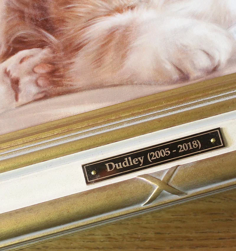 Dudley's framed cat portrait in a classic display setting.