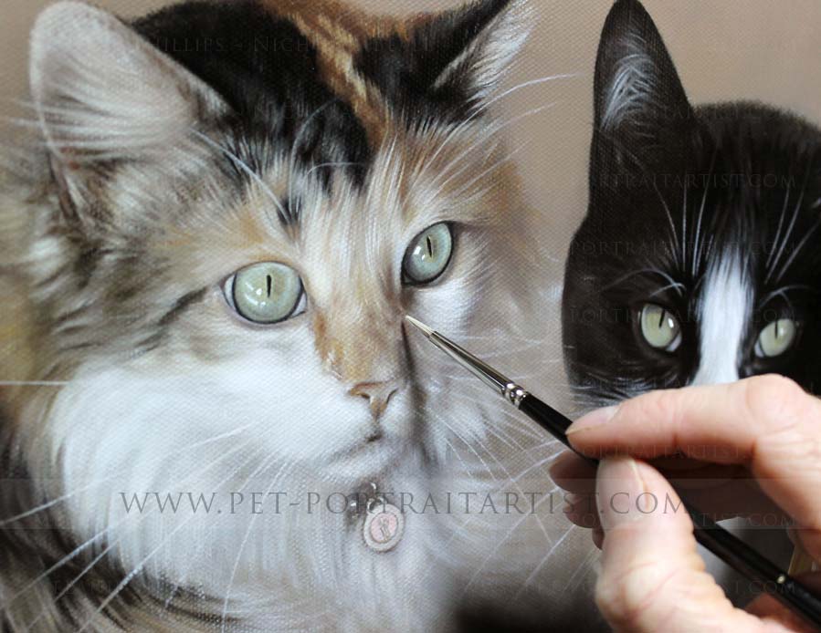 Cats Pet Portrait in Oils Close Up with brush