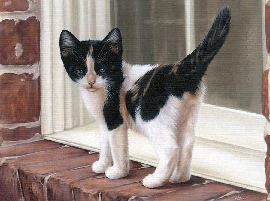 Oil painting of kitten Sally, a custom cat portrait by Nicholas Beall, showing her playful spirit.