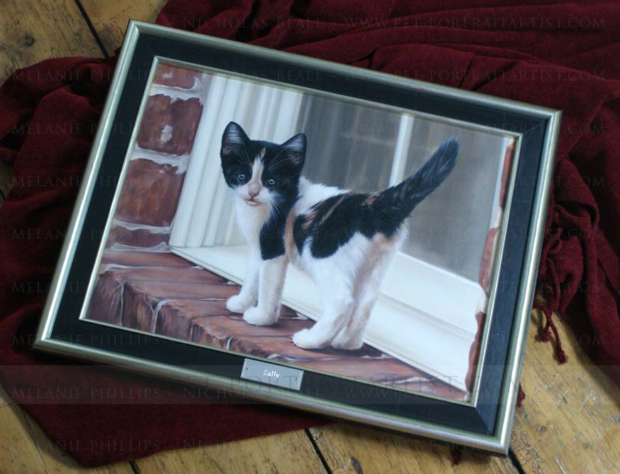 kitten portrait framed