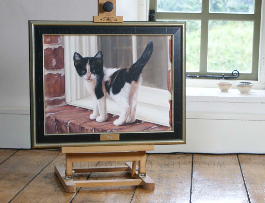 kitten portrait framed by Jane