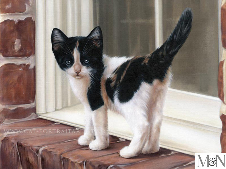 Kitten Portraits by Nicholas Beall 