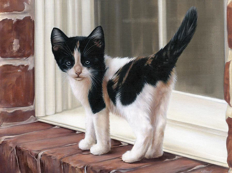 Kitten portrait of Sally in progress, showing the second painting stage.