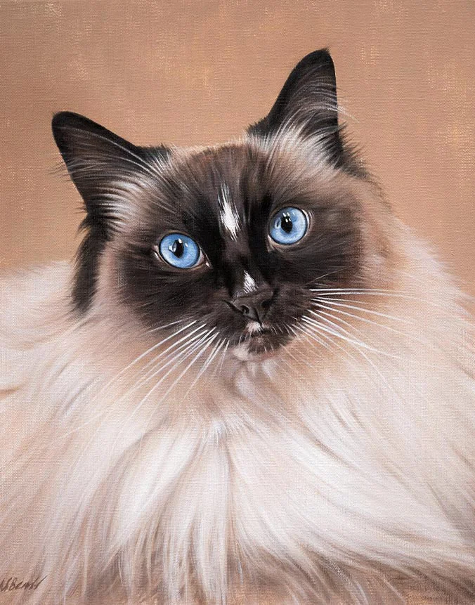 Custom oil portrait of Saffie the cat by Nicholas Beall, with a soft background.