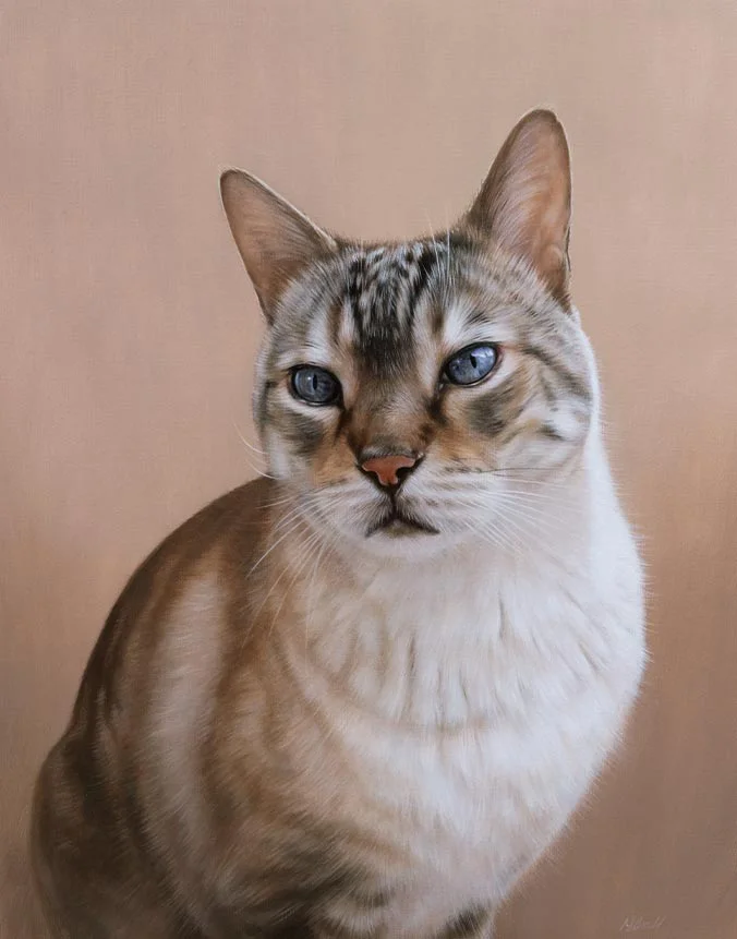 Bespoke oil painting of Bailey the cat, showcasing detailed fur and eyes.