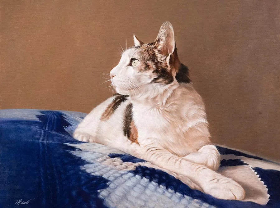 Boone the cat, an oil portrait on canvas by Nicholas Beall, capturing his serene look.