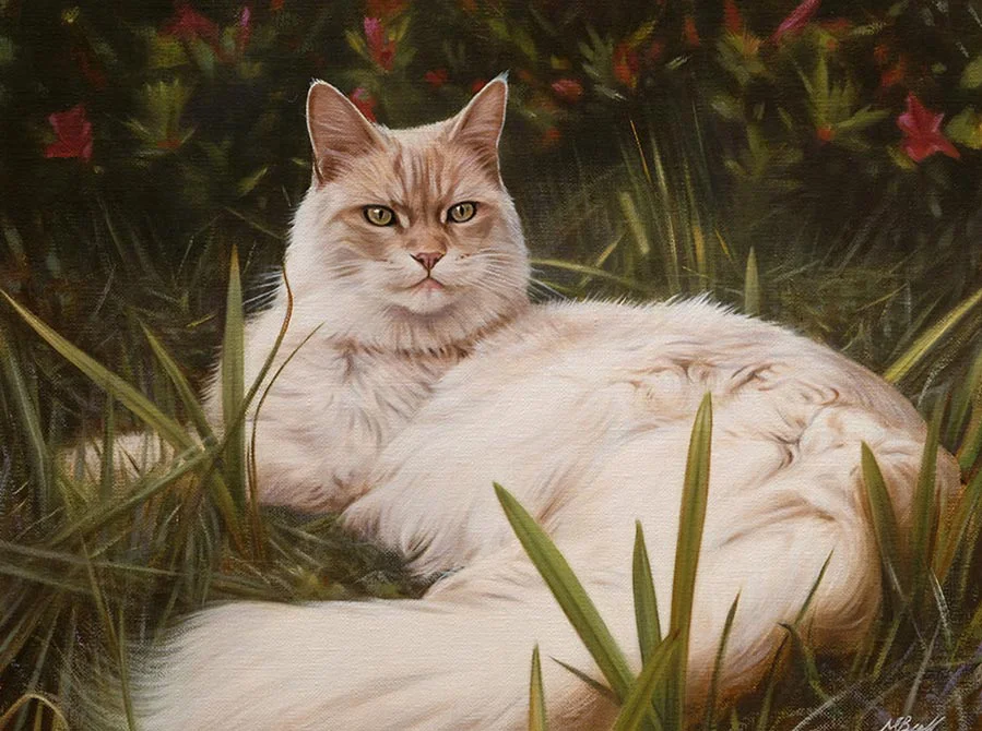 Oil portrait on canvas of Archie the cat, capturing his calm demeanor.