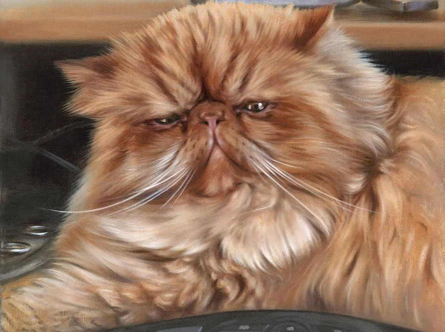 Puff the cat captured in oils, a hand-painted cat artwork by Nicholas Beall.