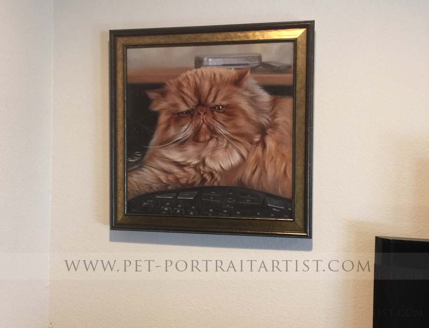 Oil Cat Portraits by Nicholas Beall framed in Situ
