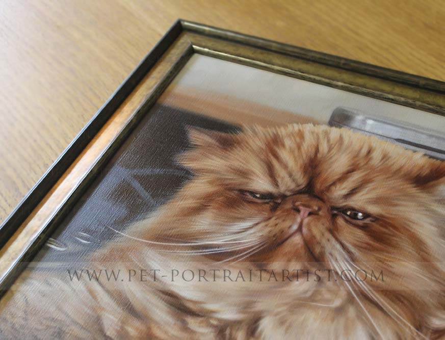 Cat Portraits Framed in Detail