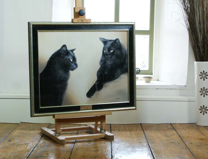 Group Cat Portraits Framed with a plaque 
