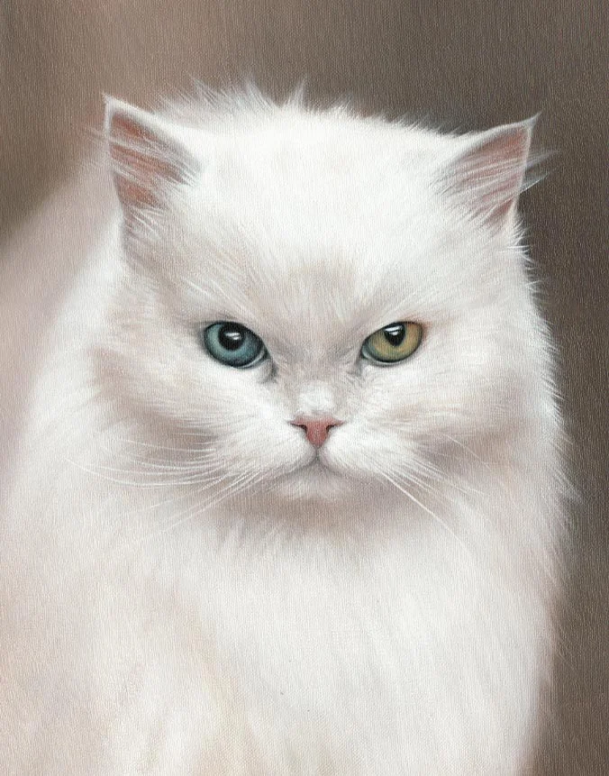 Sophie the white cat, a hand-painted oil portrait on canvas by Nicholas Beall.